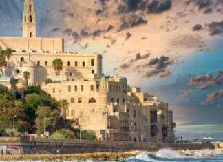 Jaffa Shoarma Witte De Withstraat Rotterdam Jaffa Shoarma Witte De Withstraat Rotterdam