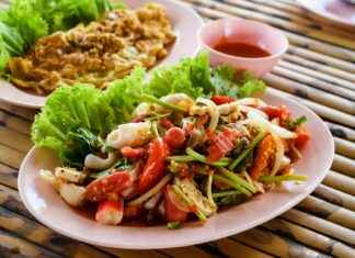 My Thai Son – Thais Restaurant Rotterdam My Thai Son - Thais Restaurant Rotterdam