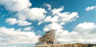 Rotterdam İçin 10 Günlük Hava Durumu Rotterdam İçin 10 Günlük Hava Durumu