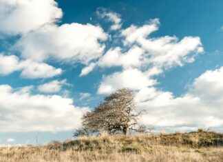 Rotterdam İçin 10 Günlük Hava Durumu Rotterdam İçin 10 Günlük Hava Durumu