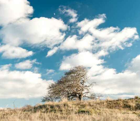 Rotterdam İçin 10 Günlük Hava Durumu Rotterdam İçin 10 Günlük Hava Durumu