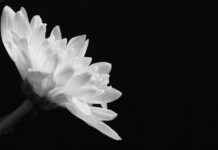 Tot Hoe Laat Kun Je Stemmen 6 Juni Tot Hoe Laat Kun Je Stemmen 6 Juni