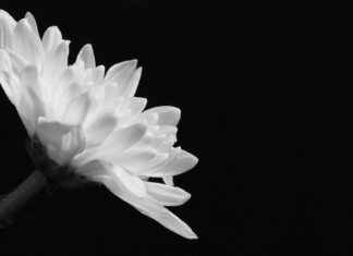 Tot Hoe Laat Kun Je Stemmen 6 Juni Tot Hoe Laat Kun Je Stemmen 6 Juni