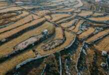 Wie Is De Mol Hoe Laat Wie Is De Mol Hoe Laat