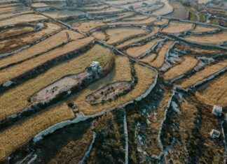 Wie Is De Mol Hoe Laat Wie Is De Mol Hoe Laat