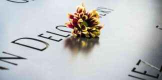 treinen-stoppen-tijdens-twee-minuten-stilte-op-dodenherdenking-vliegtuigen-mogen-niet-landen