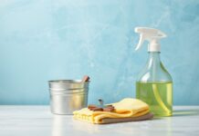 De Kunst van het Schonen: Tips en Tricks voor een Straalende Huishouding The Art of Cleaning: Tips and Tricks for a Gleaming Household