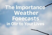 Het Belang van Weerprognoses in ons Dagelijks Leven The Importance of Weather Forecasts in Our Daily Lives