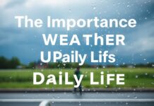 The Importance of Weather Updates in Daily Life